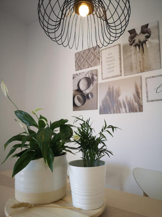 Apartamento Suite Arco De La Villa,Solo Familia Y Parejas,Parking Gratuito Conil De La Frontera Exterior foto